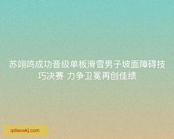 苏翊鸣成功晋级单板滑雪男子坡面障碍技巧决赛 力争卫冕再创佳绩